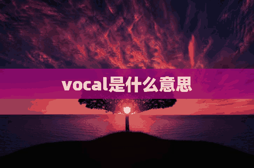 vocal是什么意思